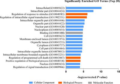 RNA Expression Profile and Potential Biomarkers in Patients With Spinocerebellar Ataxia Type 3 From Mainland China